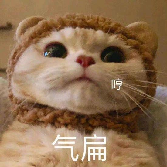 云南少年郎