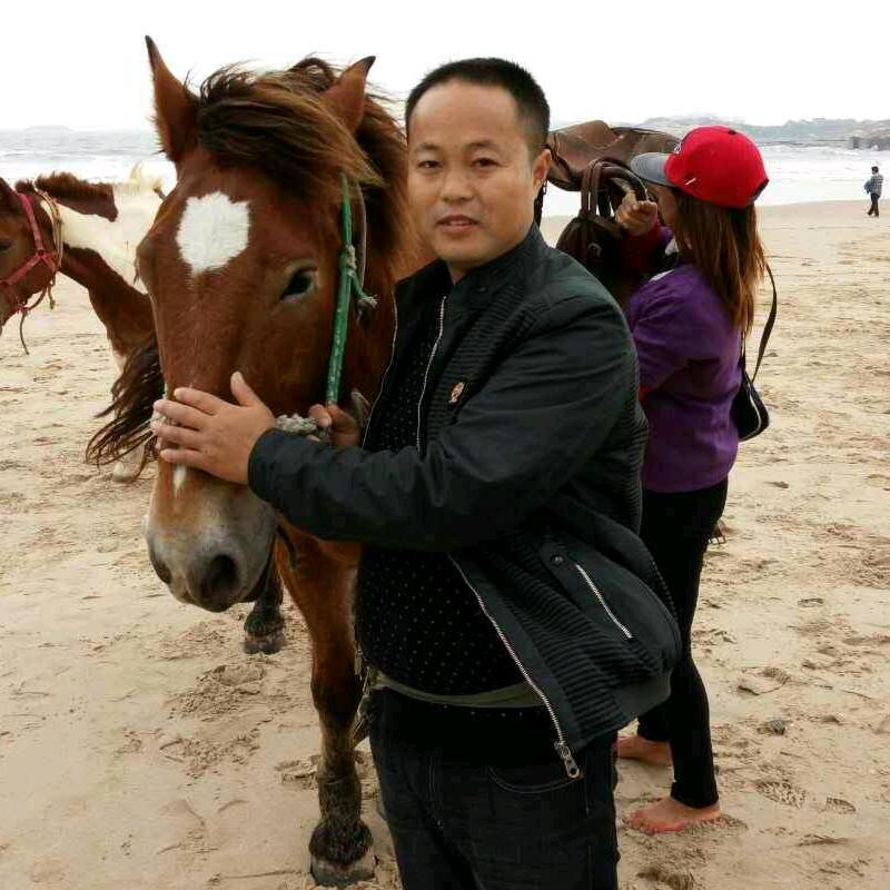爱拼才会赢。