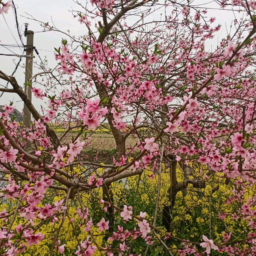 木易缘理
