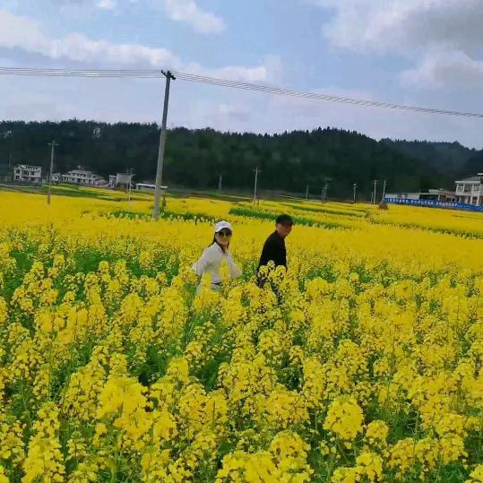 ～静静～