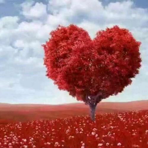 汽车销售晶姐🌹