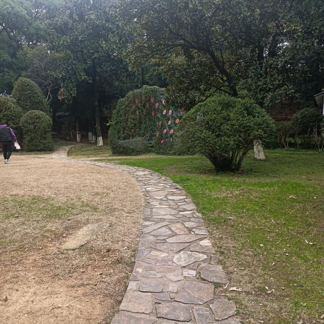 人生如梦a