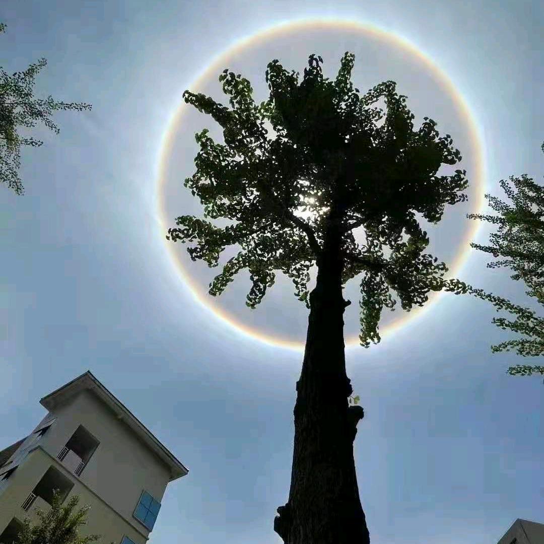 静听旋律
