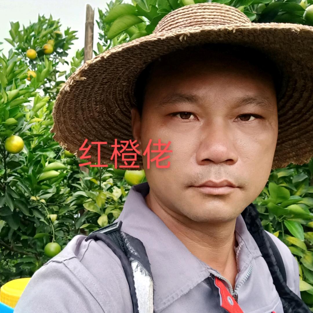 红橙哥
