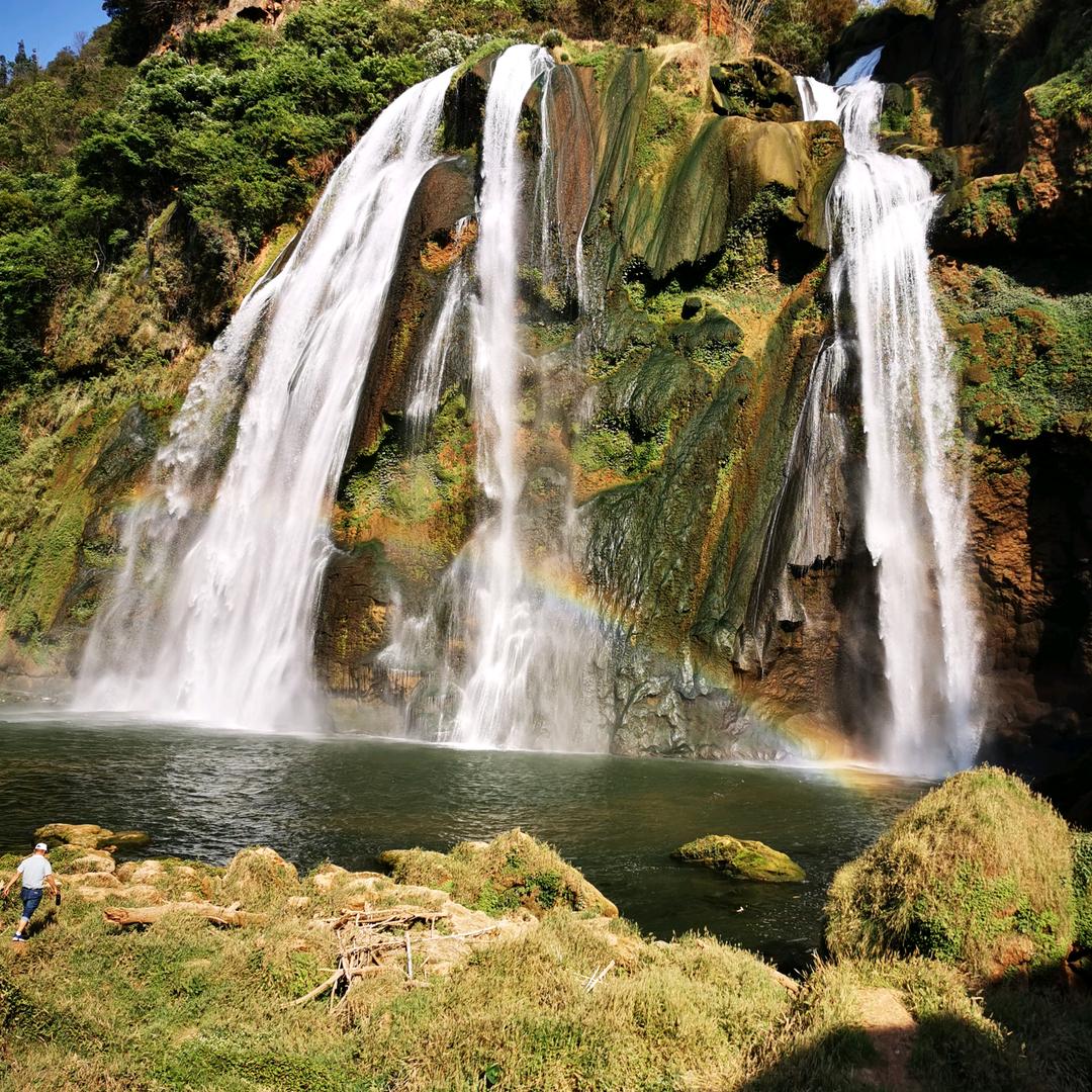 云南道地中药材