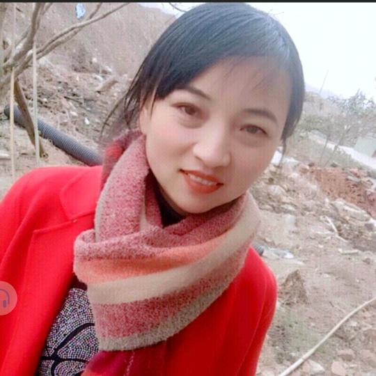 傲雪寒梅
