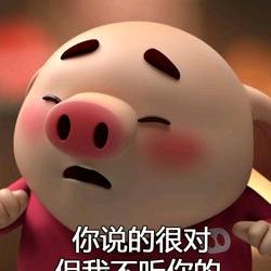 猪猪🐷👄SLHZCY