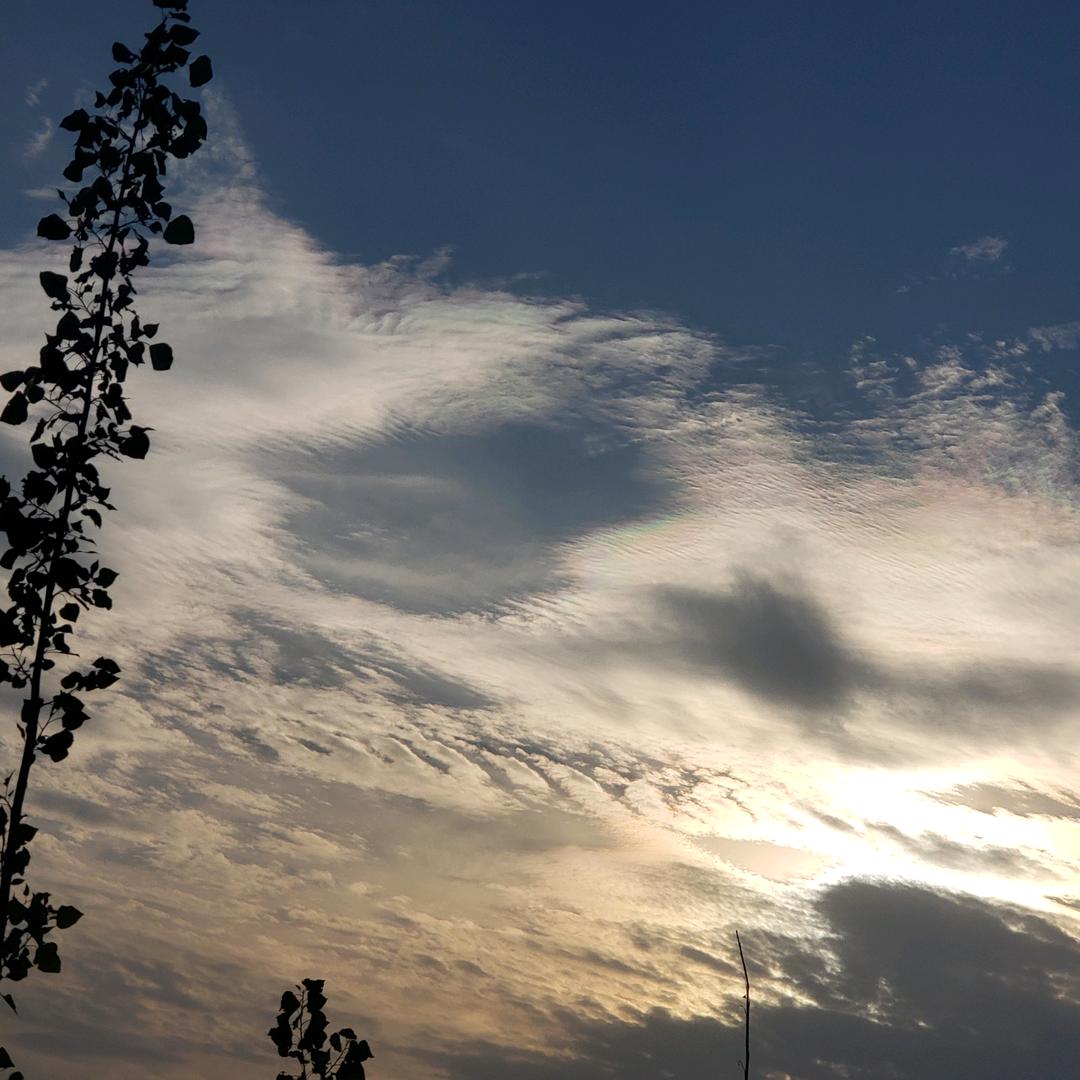 失踪的青少年（一起守护祖国的花朵）