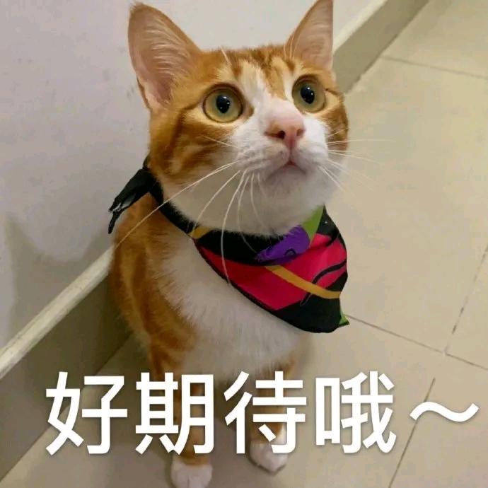 别亭的果酱头像