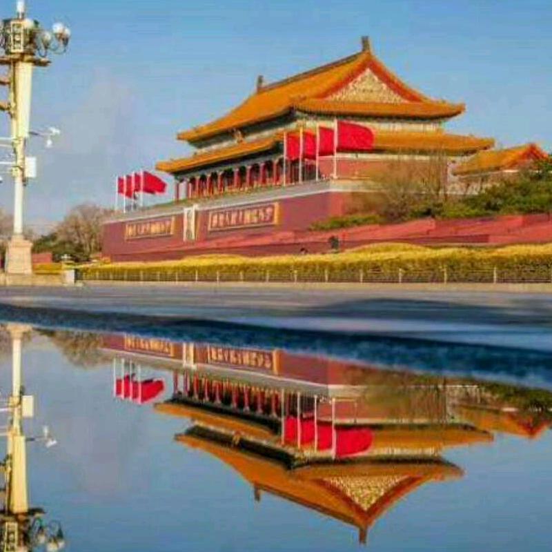 沈理解