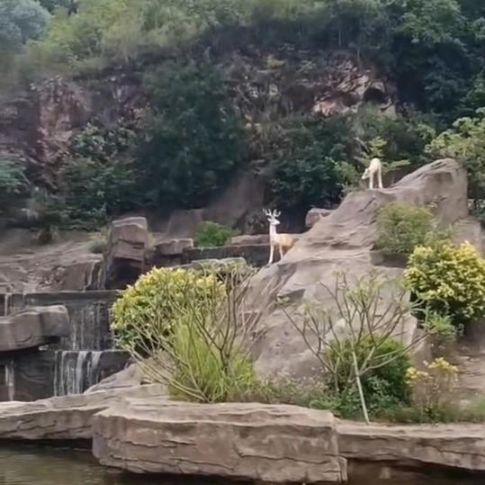 弓长禾斗武