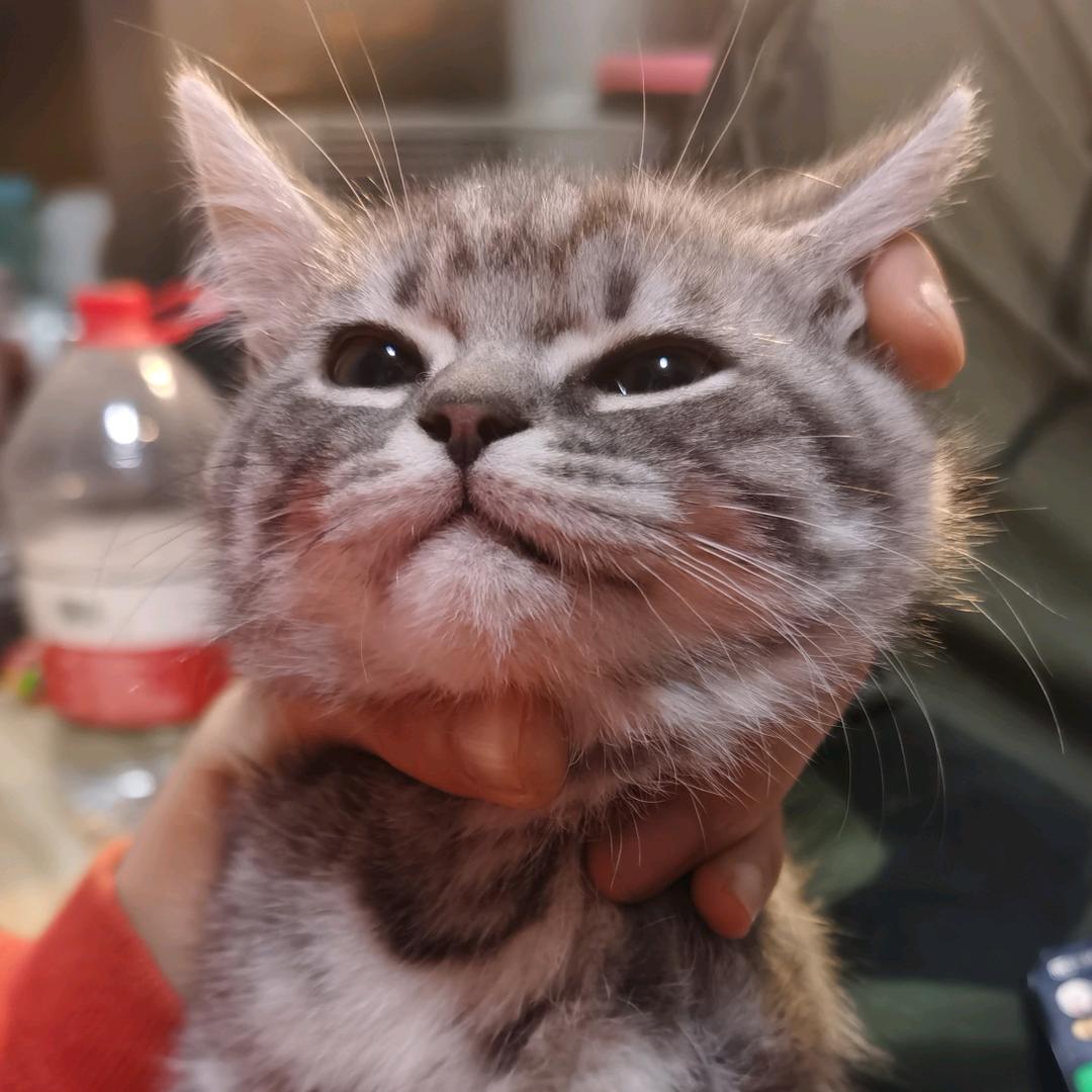小赵摸鱼