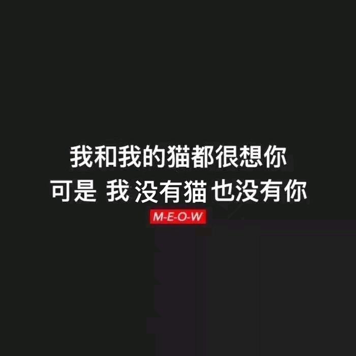 梅狸猫（游戏日常）