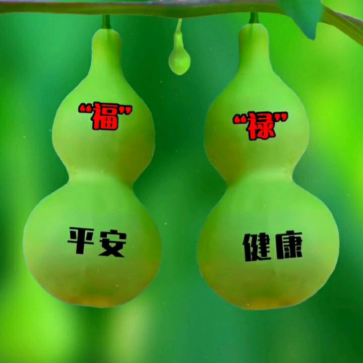 大葫子