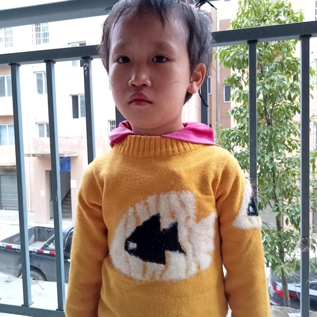 我想你的梦