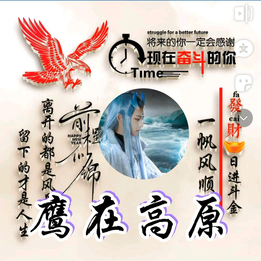 鹰在高原🎤
