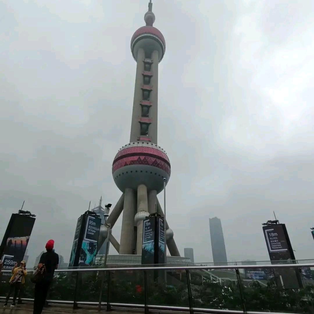 踏雪寻梅