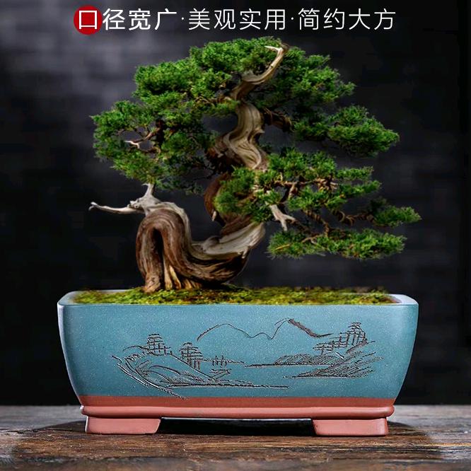 老古斋紫砂花盆
