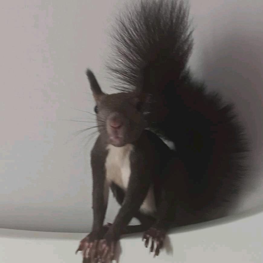 jgfbg