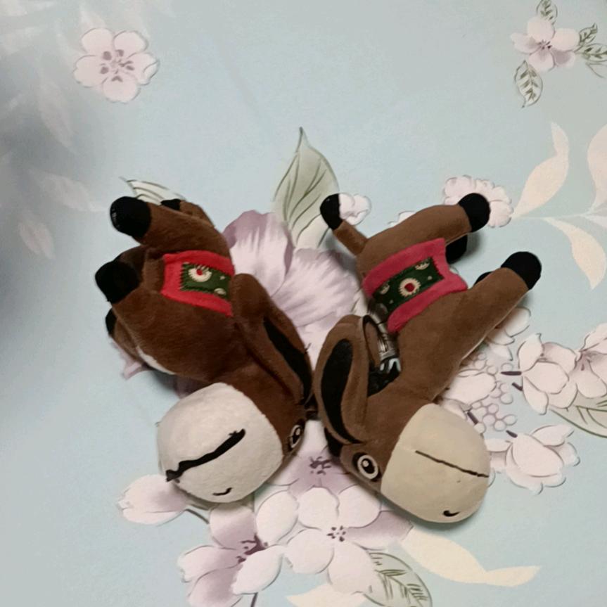 @小毛驴