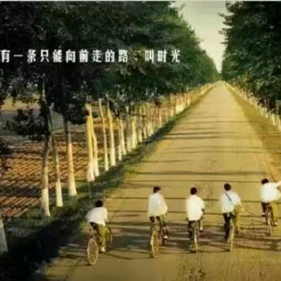 ꧁༺昱锐欣辰༻꧂