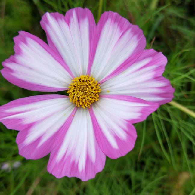 ＆Lin抬头仰望星光♛