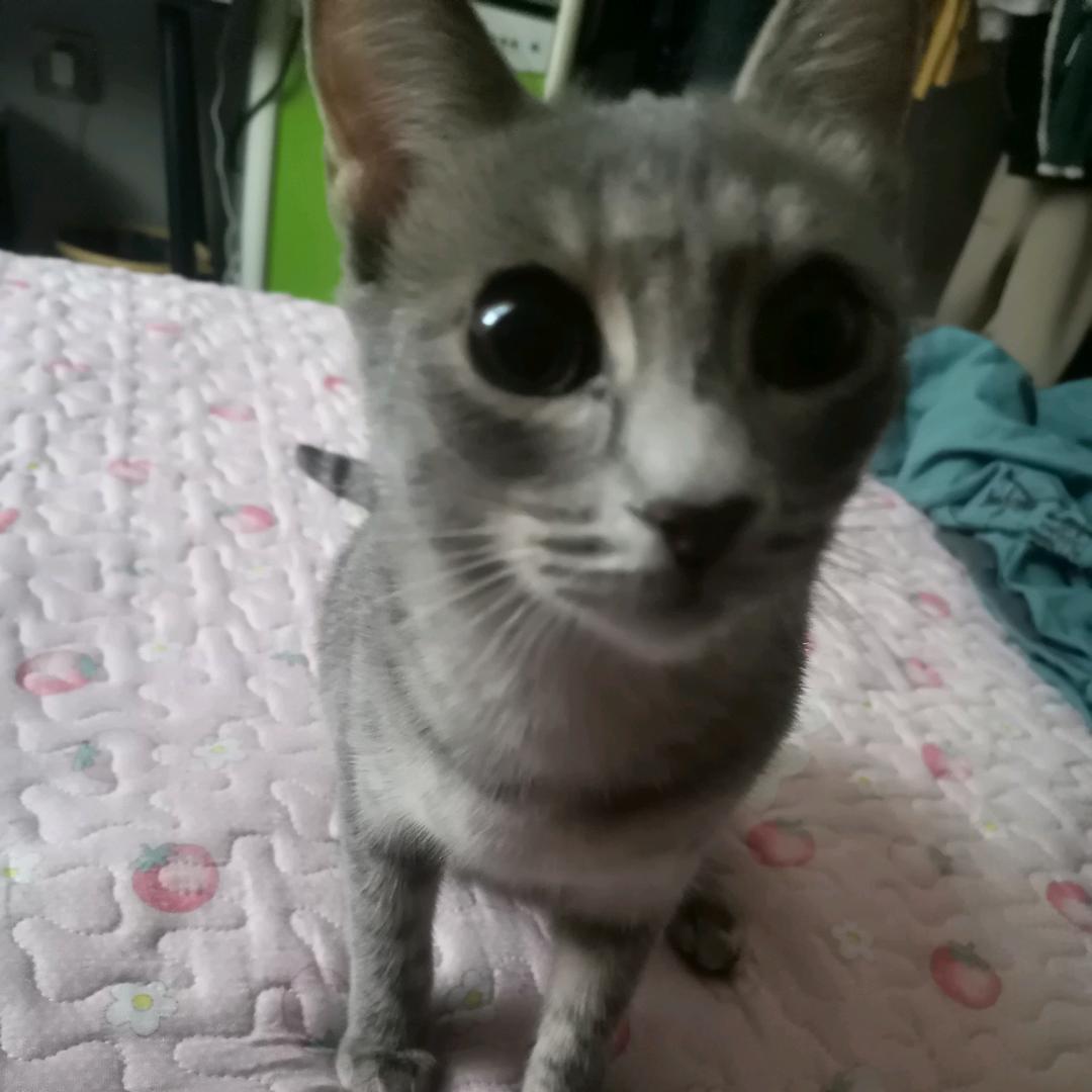 新疆荣都农机有限公司