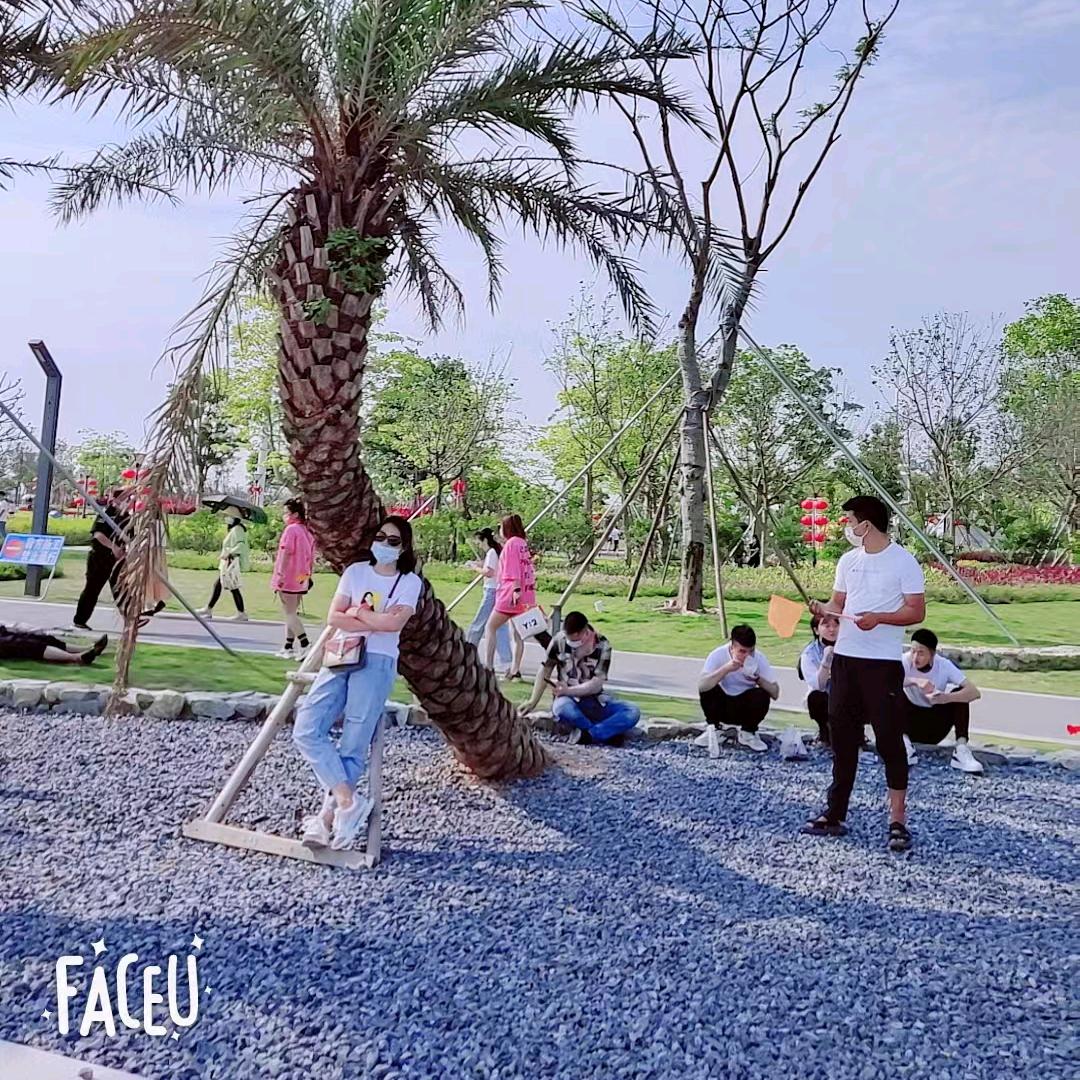 等风来，随风去