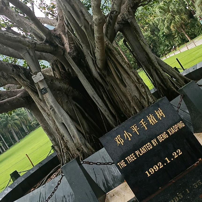 起飞前的准备≥