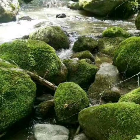 山涧小溪