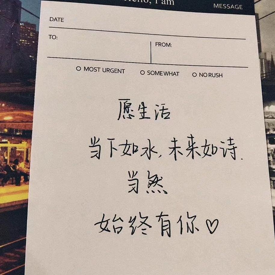 辉煌人生