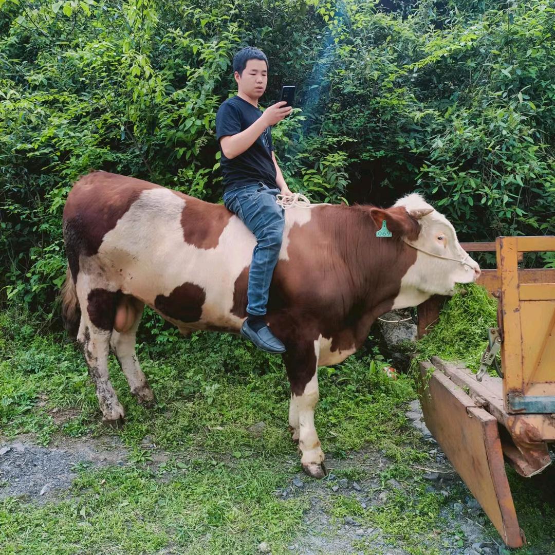 播州区杨晓宁养殖场