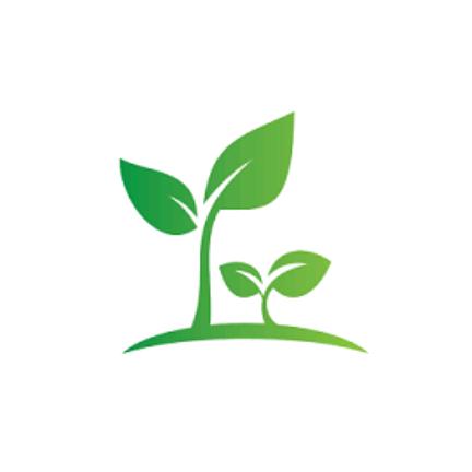 小树苗🌱