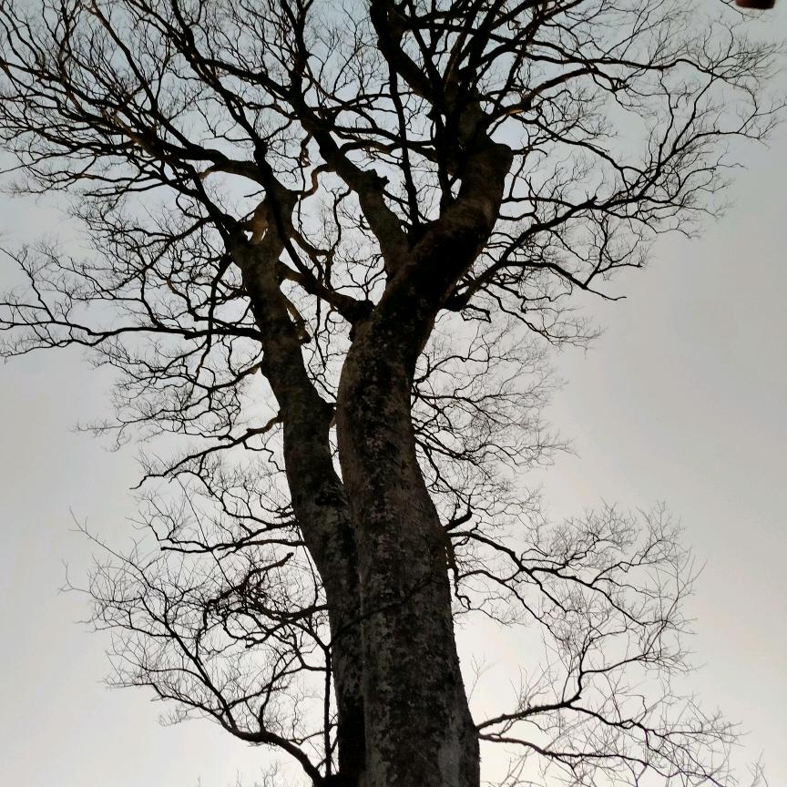 真是想不到