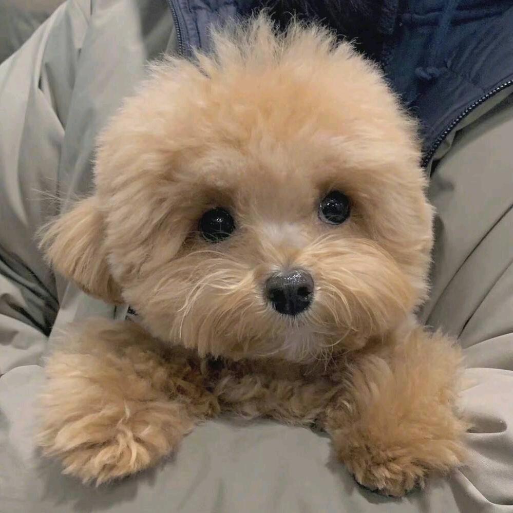 永琪专业美发白桦林居店～刘涛