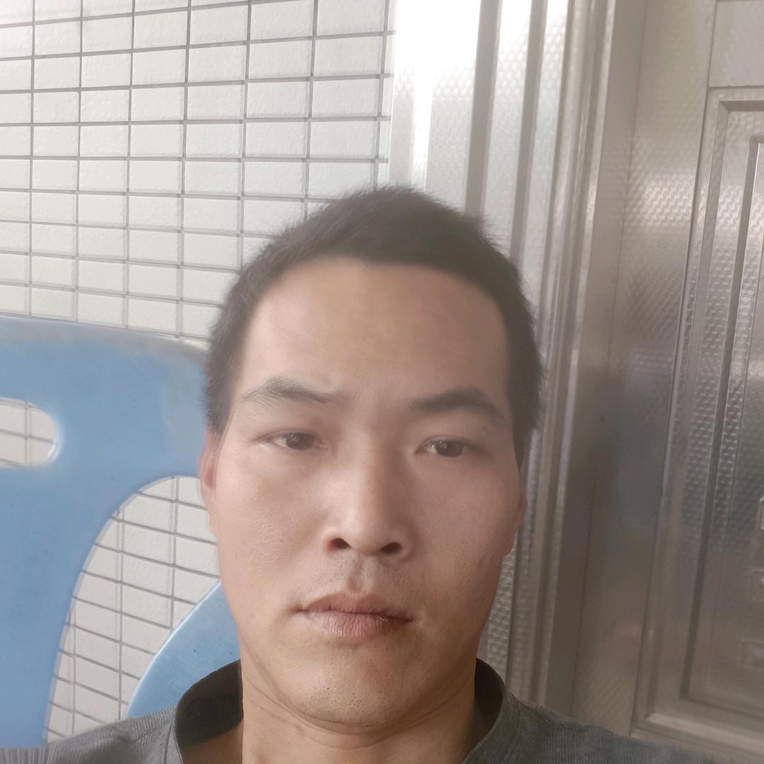 lrt夜游神