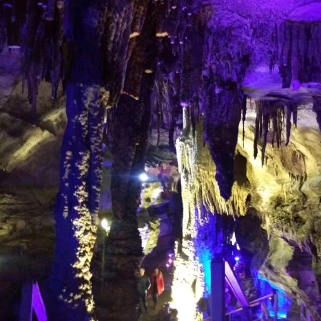 曳舞🌻芝勇🌻