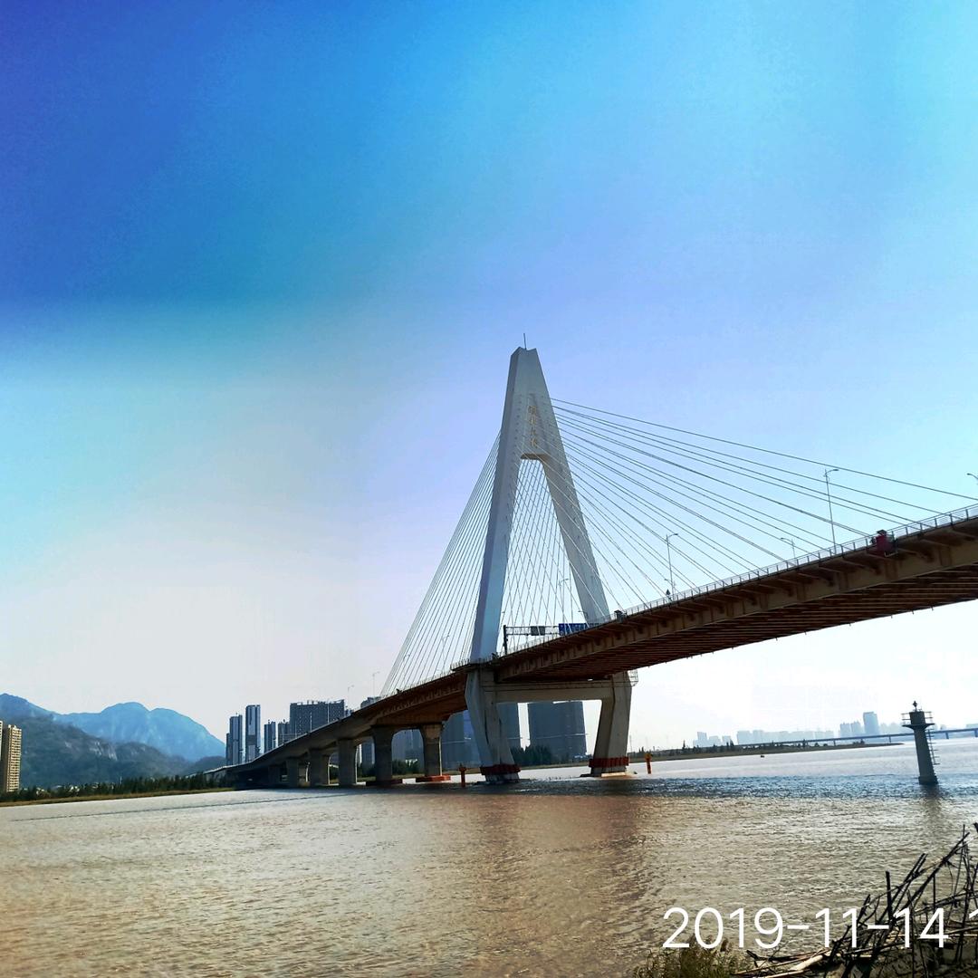 杨杨：