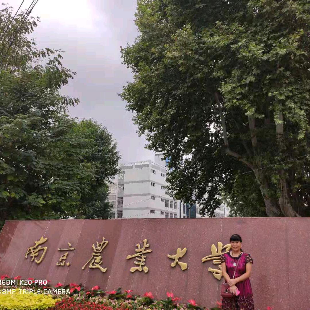 庄啊淑