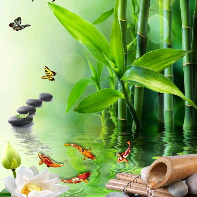 👑清雅竹韵🎋