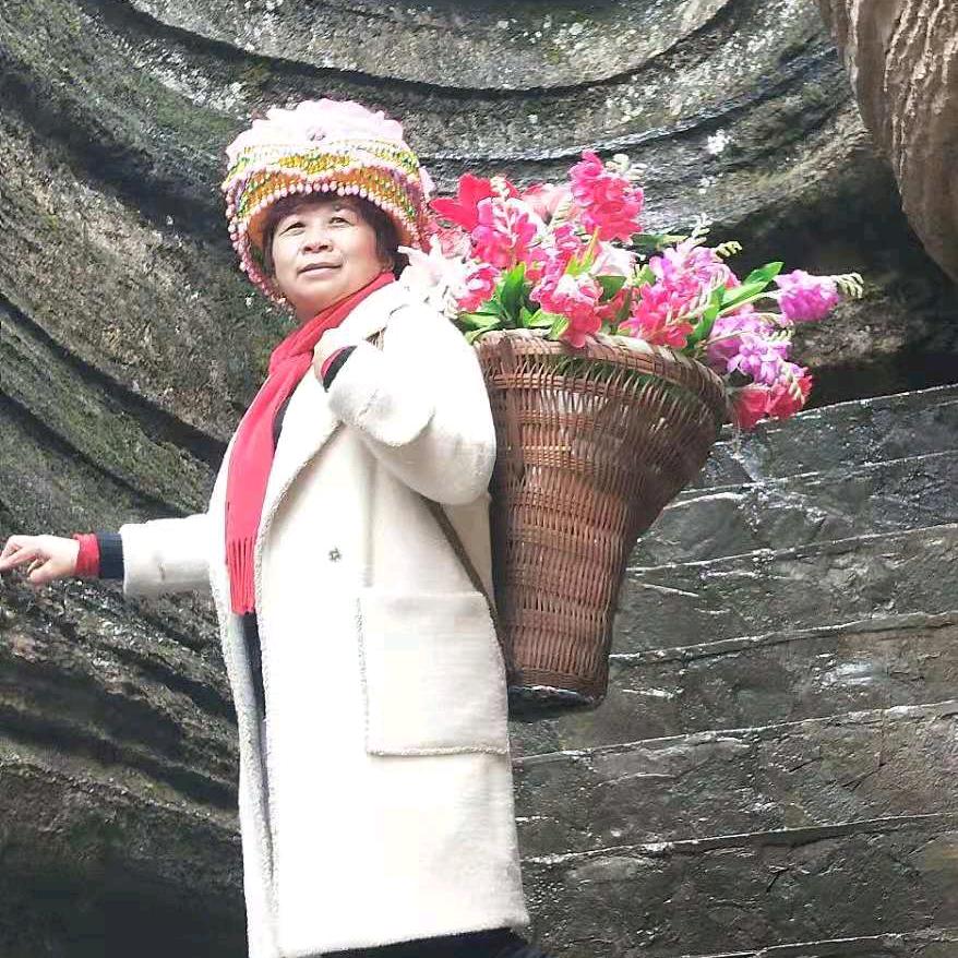 菊
