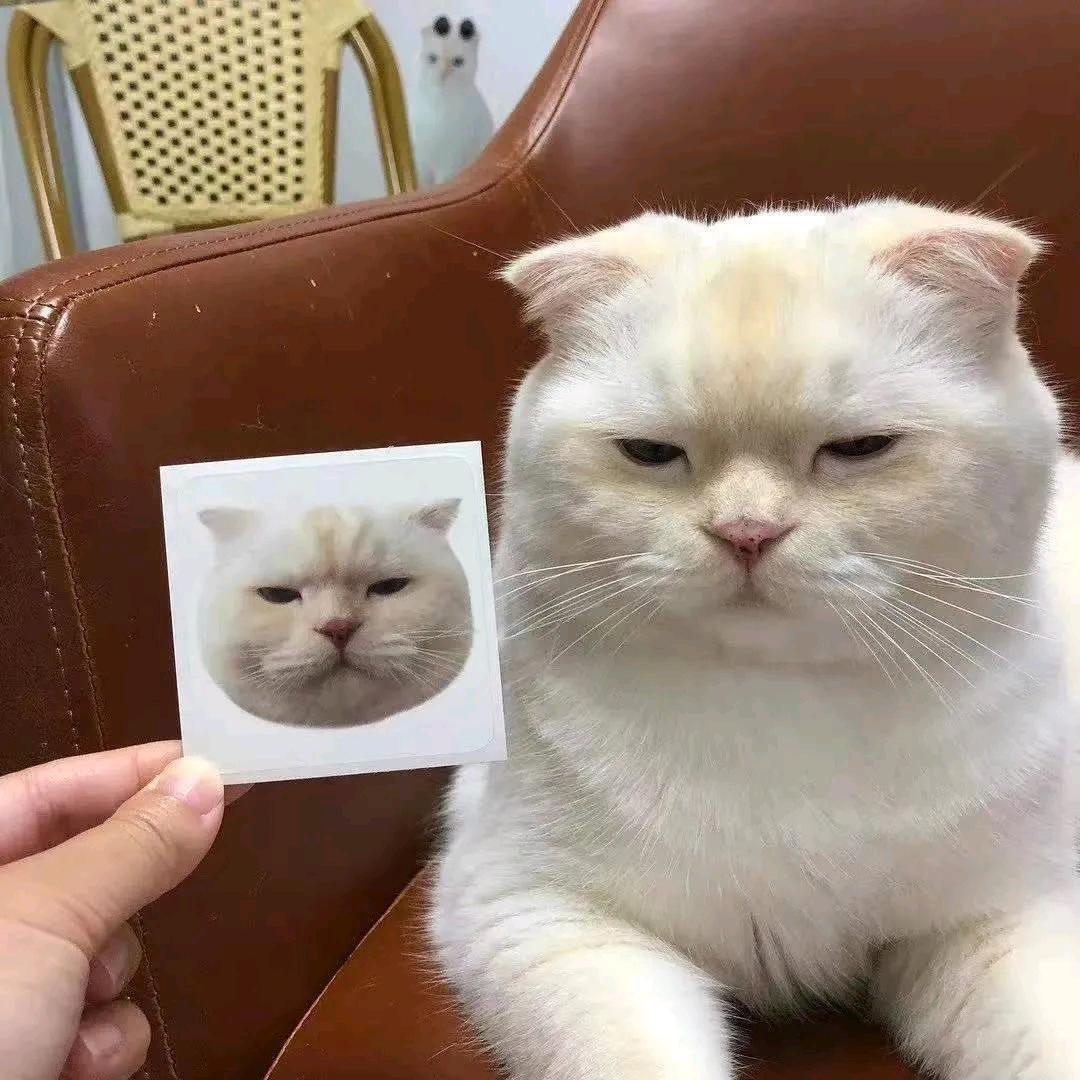 里予