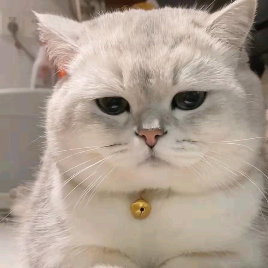 嘿哈