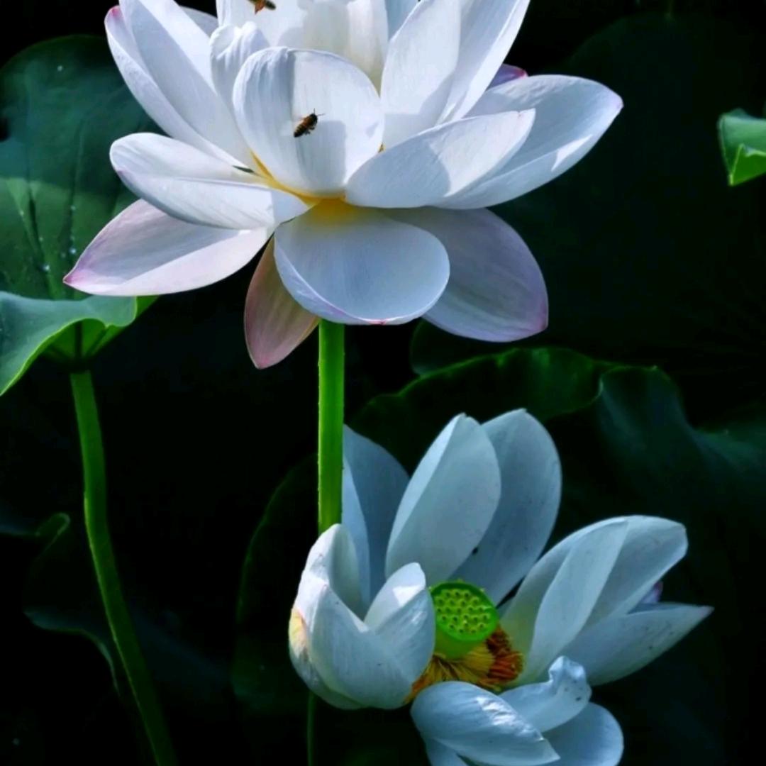 岳阳君捷保洁服务有限公司许黎明