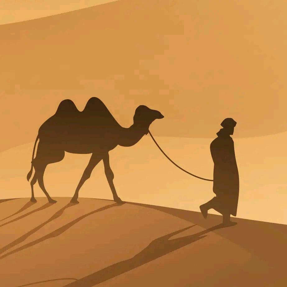 甘南自由行旅拍