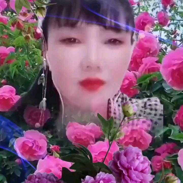刘妹