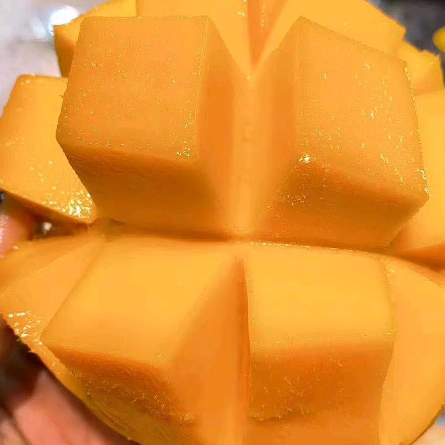 子恒