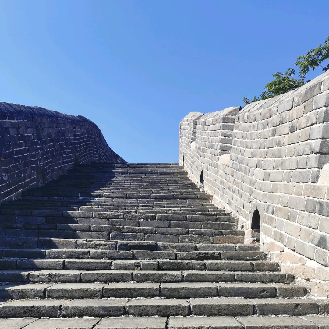 沙棘果
