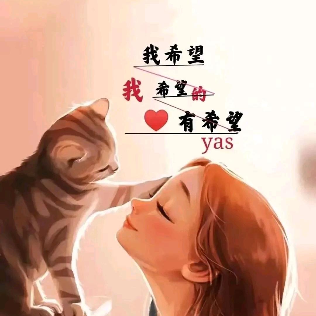 喜欢路飞的胖仙女