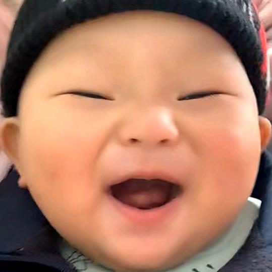 🍊🍊🍊🍊🍊🍊🍊🍊🍊🍊